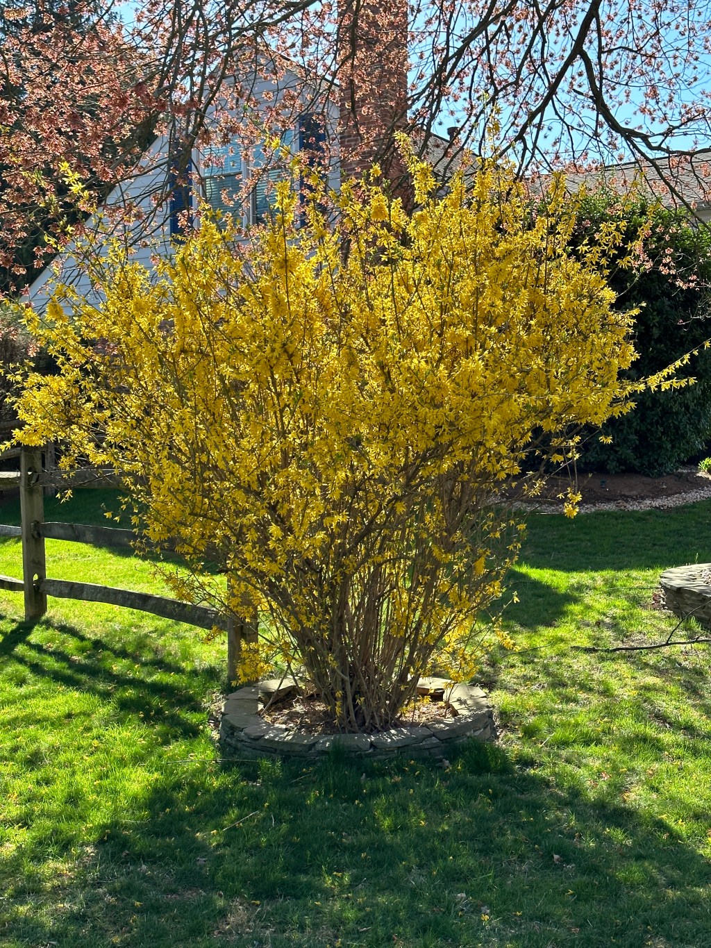 Spring in My&nbsp;Feet