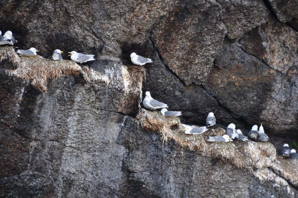 Feathered Data Points