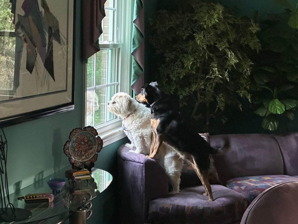 You Put the Villain in the Villanelle:  Modern Pet&nbsp;Peeves