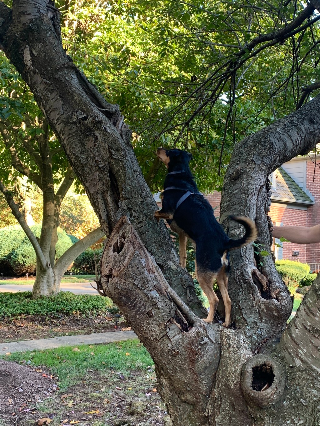 Max’s Branch Office