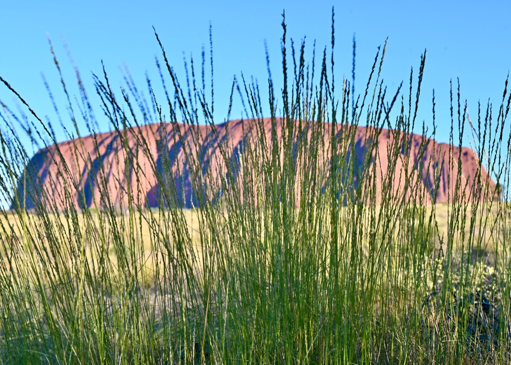 Australia:  Uluru