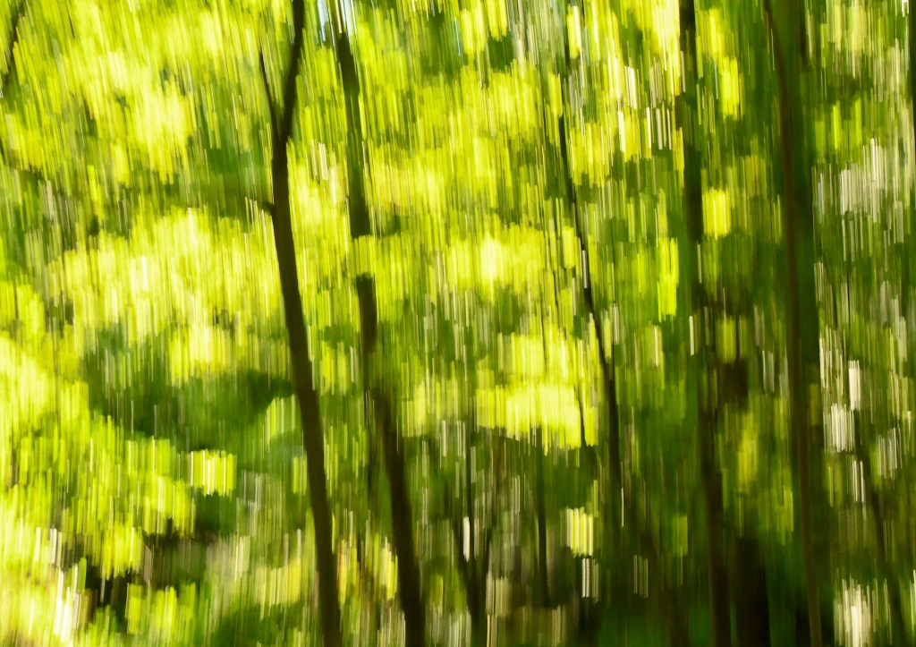 Soundtrack for a Walk with&nbsp;Max